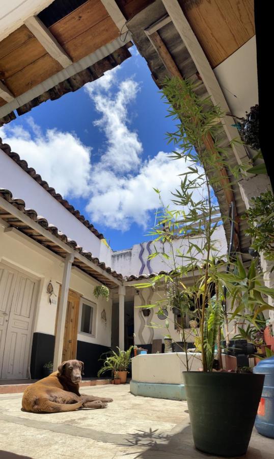 Hostal Posada Mi Casa San Cristobal de las Casas Bagian luar foto